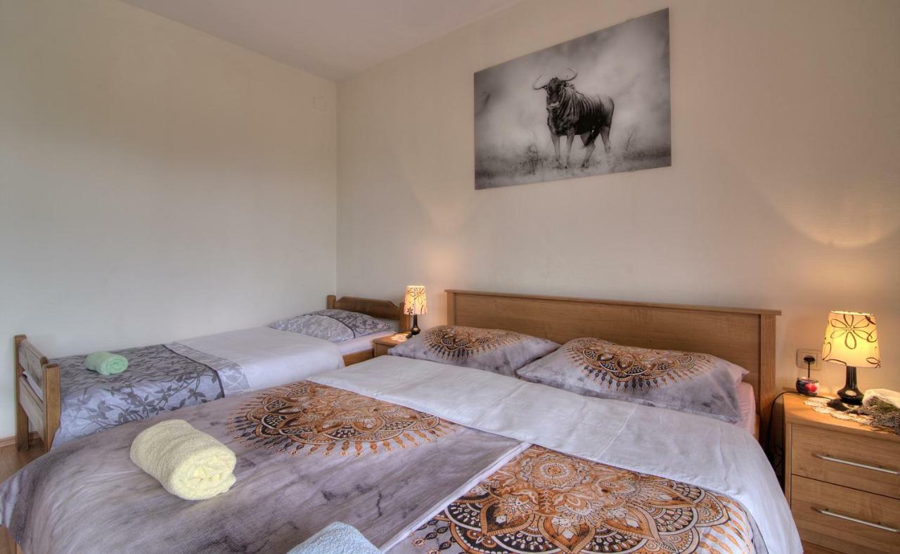 Apartment Marijanka Senj  Extérieur photo